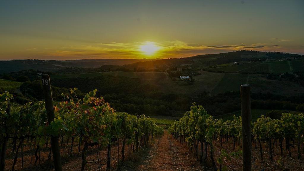 Villa Toscana Il Capiteto Panzano in Chianti Exterior foto