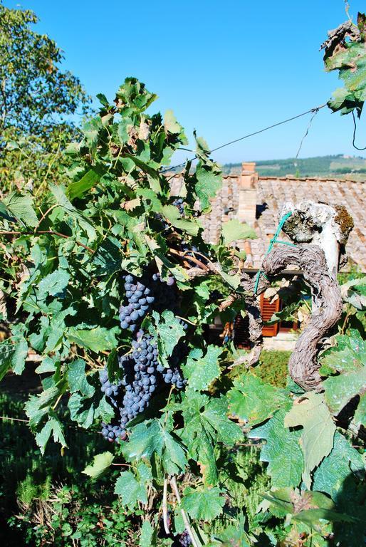Villa Toscana Il Capiteto Panzano in Chianti Exterior foto